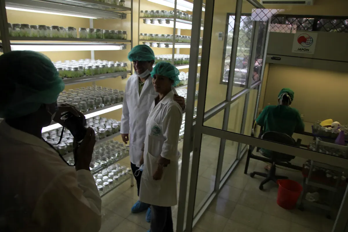 Castilla y León impulsa su gasto en I+D biotecnológico un 20%